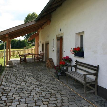 Ferienhaus Winter Blaibach Zewnętrze zdjęcie