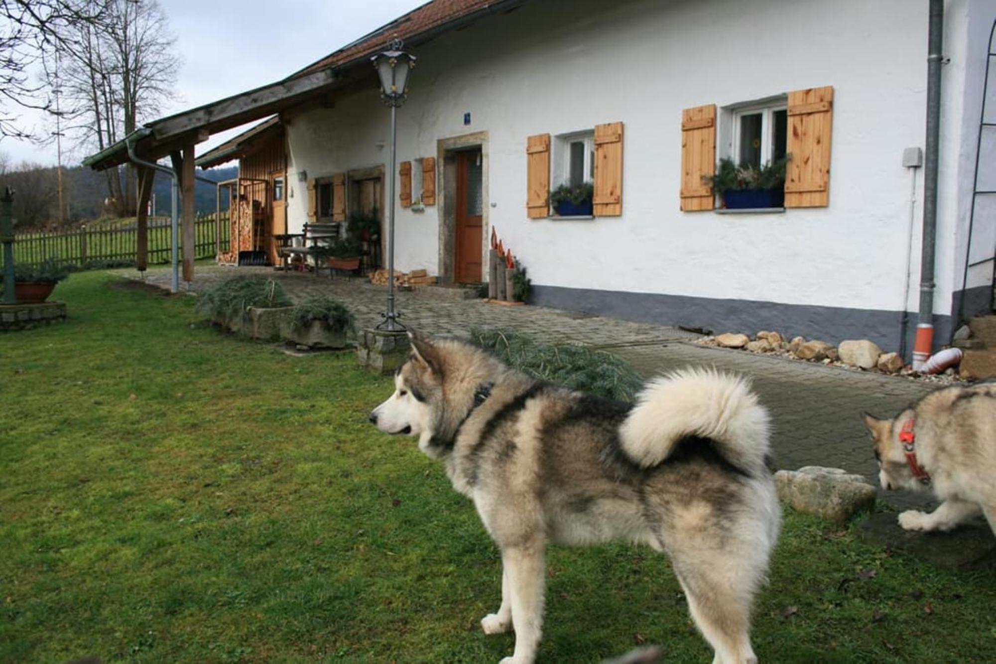 Ferienhaus Winter Blaibach Zewnętrze zdjęcie