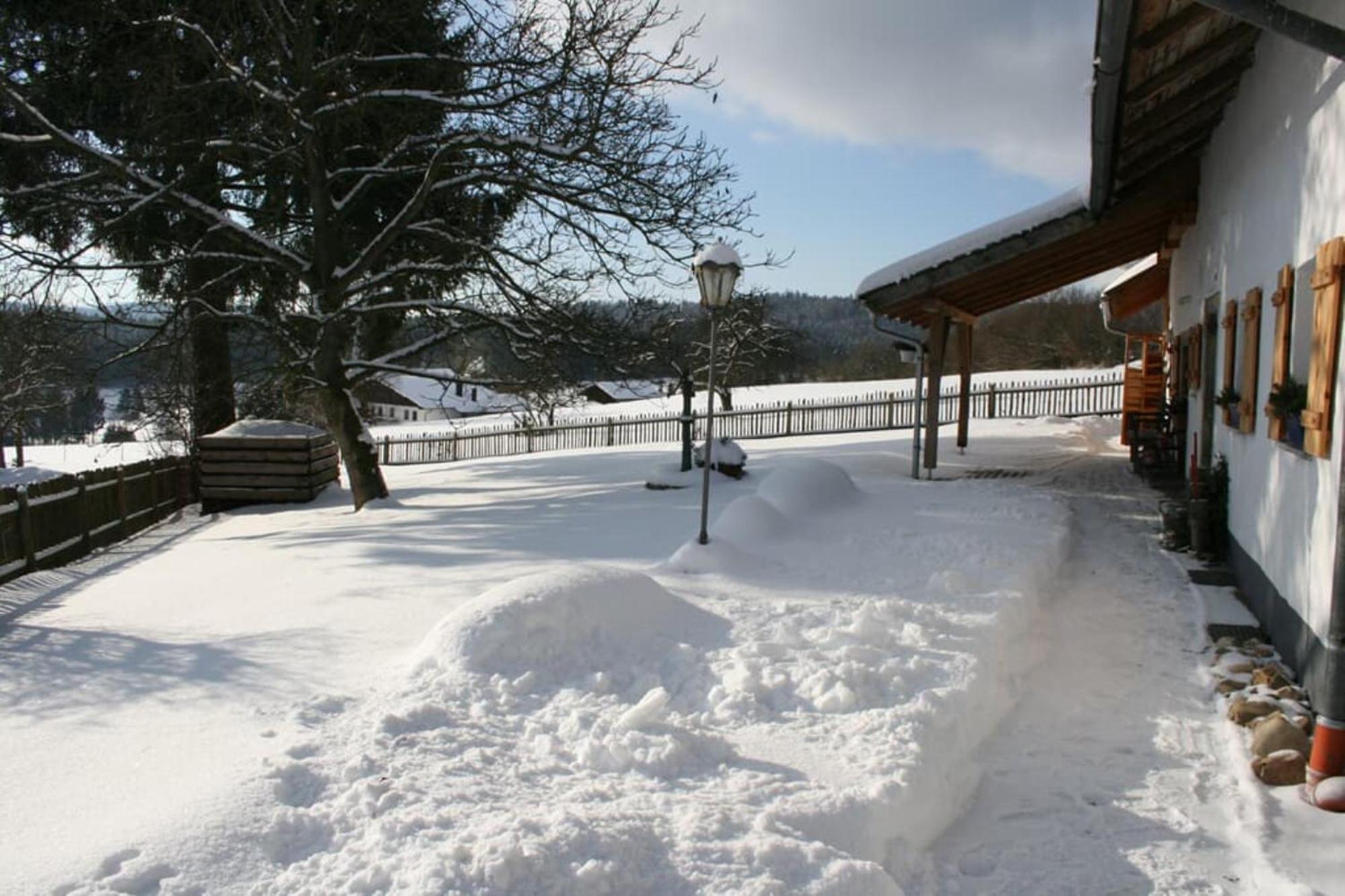 Ferienhaus Winter Blaibach Zewnętrze zdjęcie