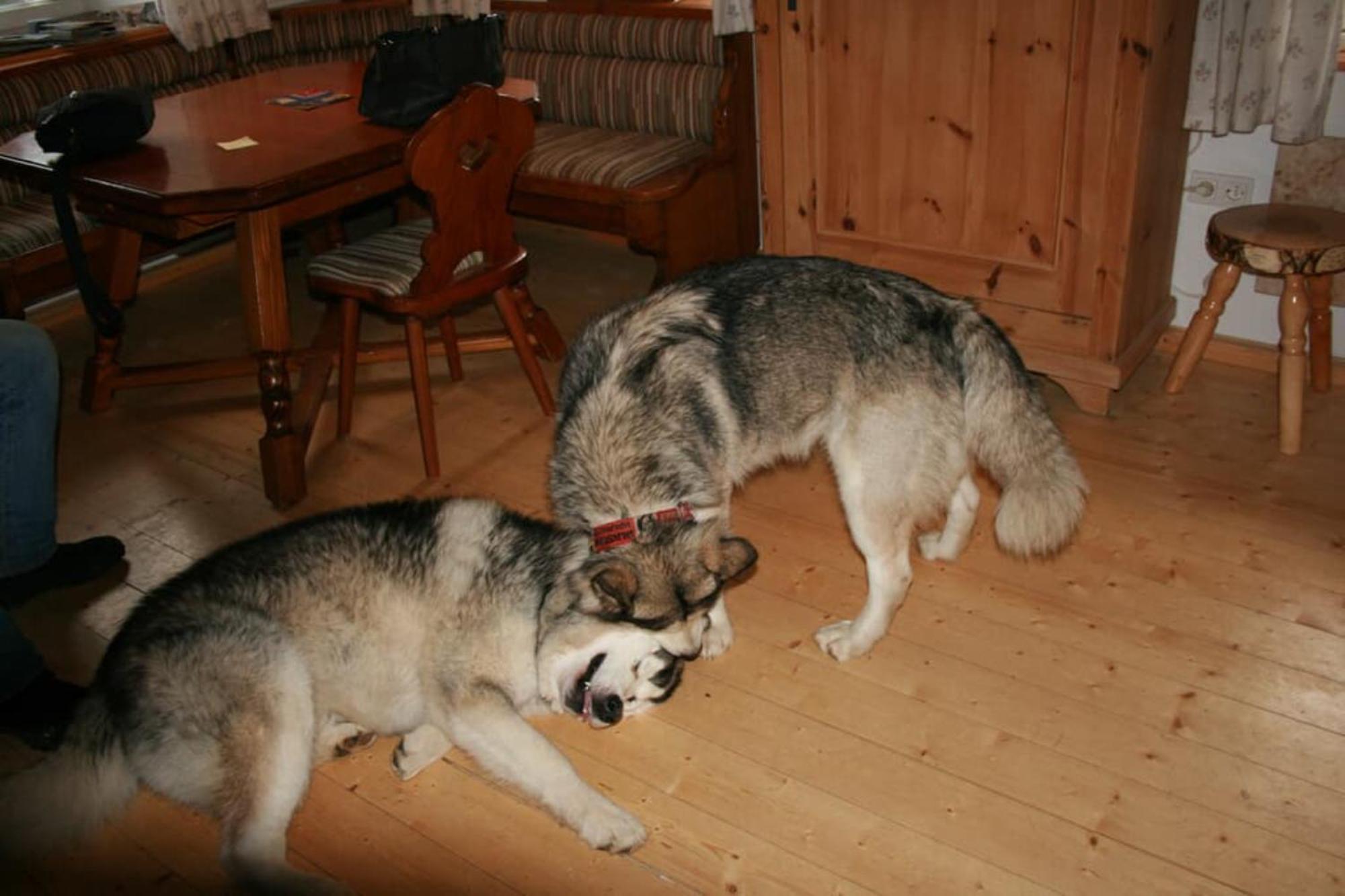 Ferienhaus Winter Blaibach Zewnętrze zdjęcie