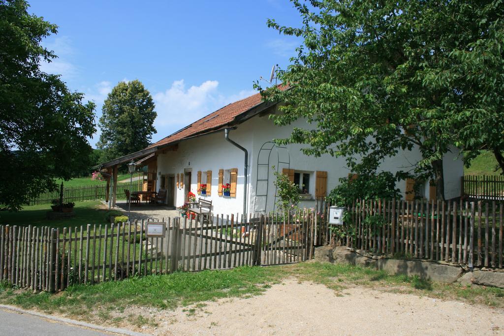Ferienhaus Winter Blaibach Zewnętrze zdjęcie